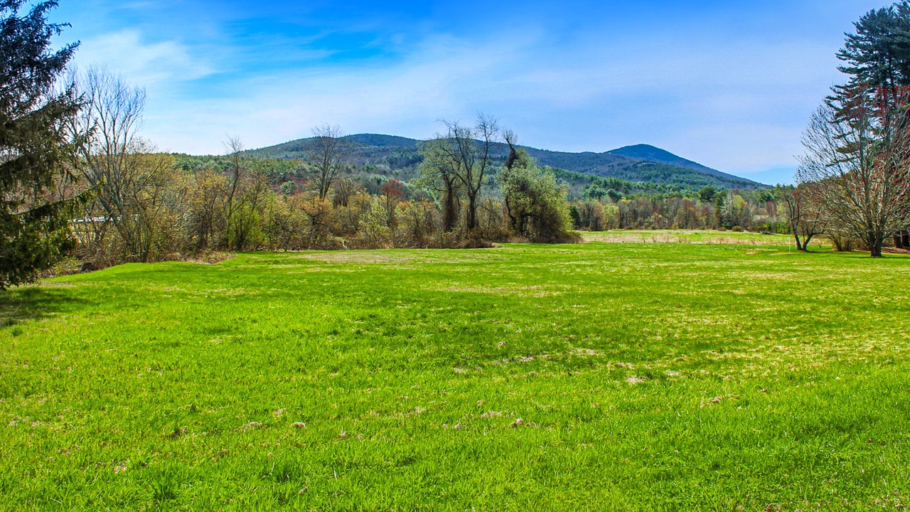 Photo of Outdoor in Gilford