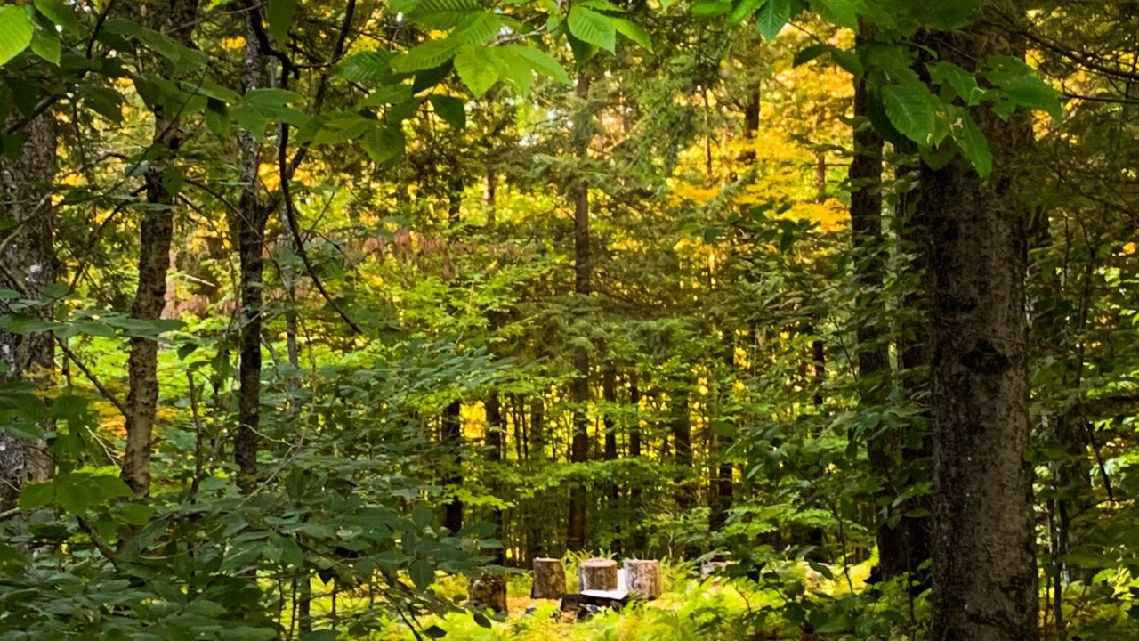 Photo of Outdoor in South Londonderry