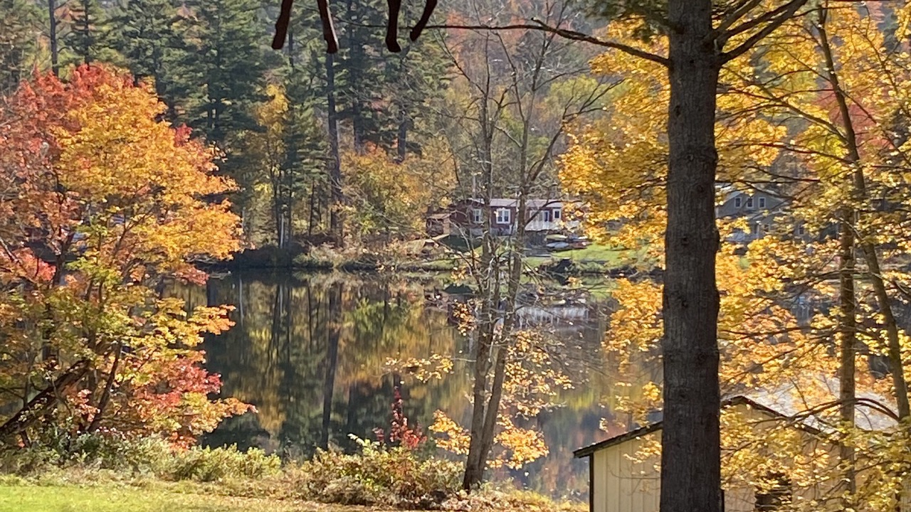 Photo of Outdoor in Whitefield