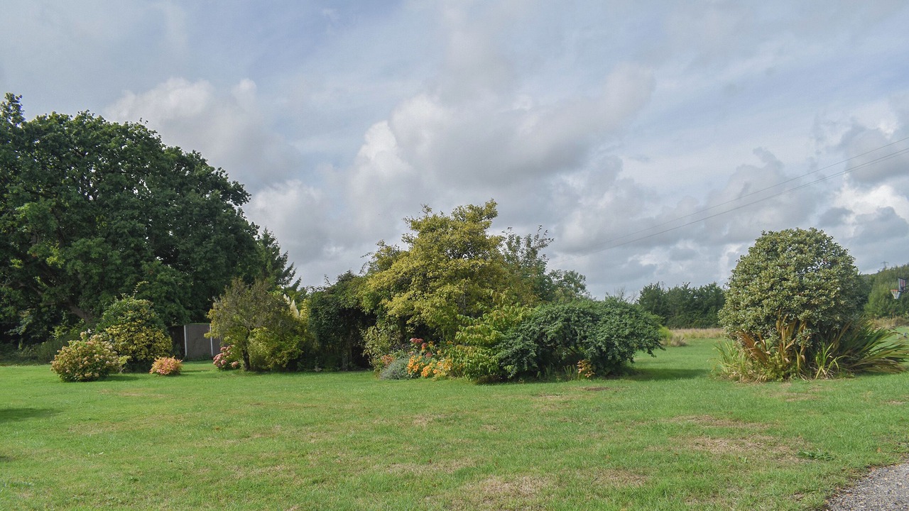 Photo of Outdoor in Ryde