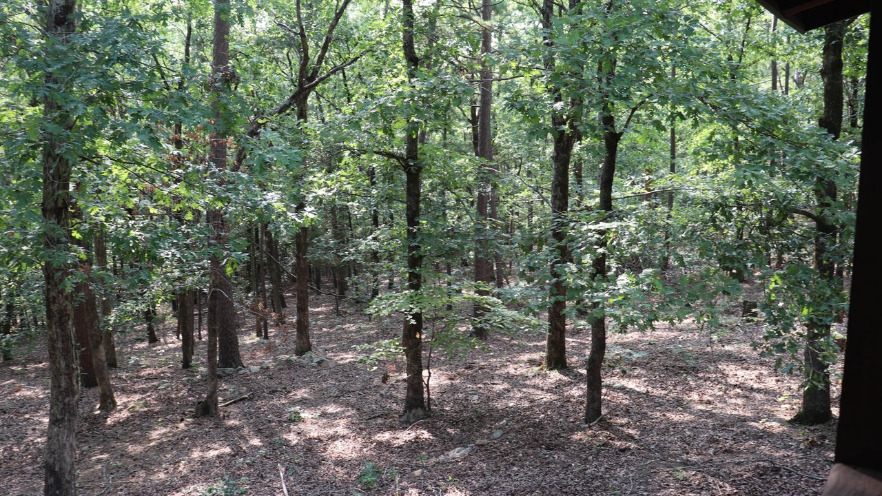 Photo of Others in Pleasant Grove
