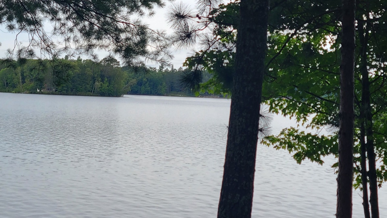 Photo of Others in Bigfork