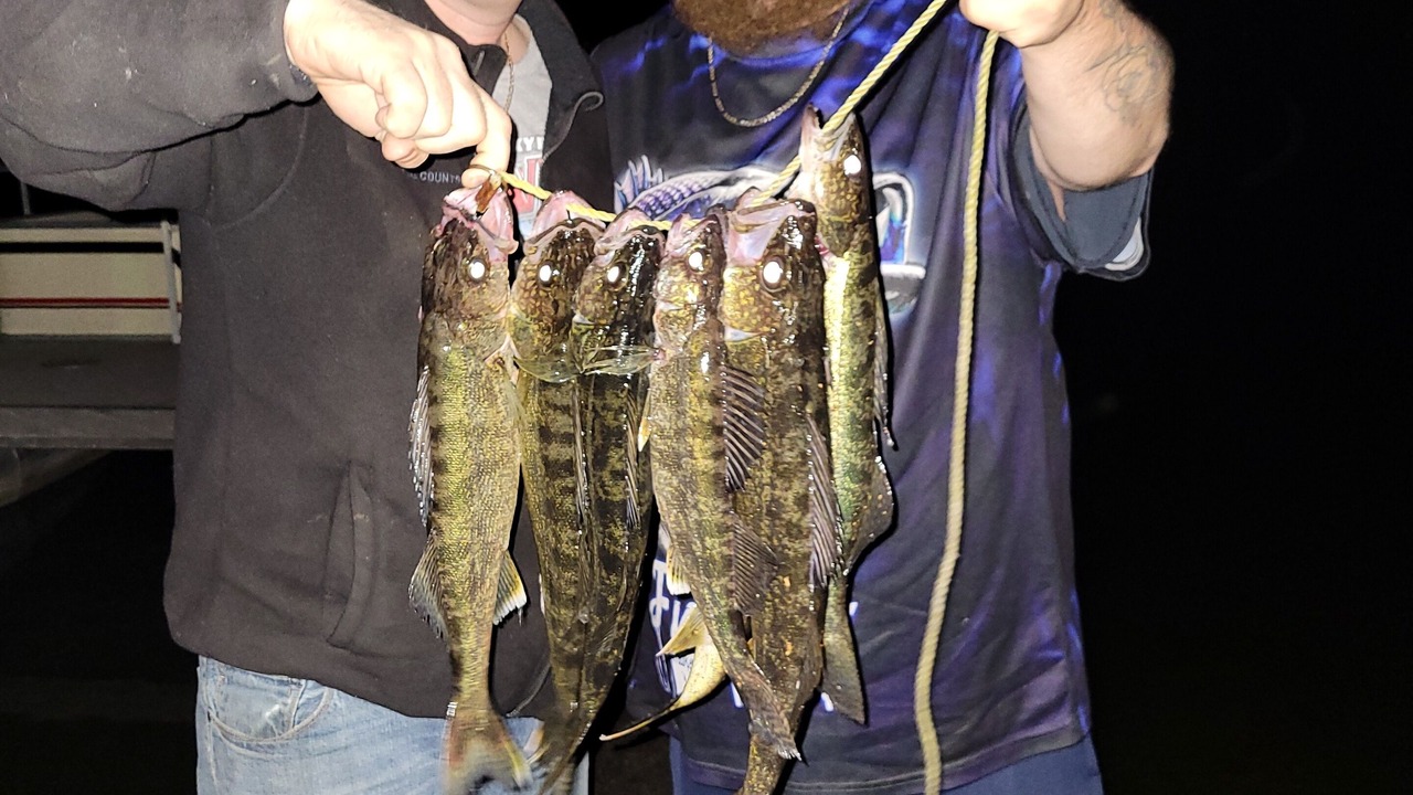 Photo of Others in Bigfork