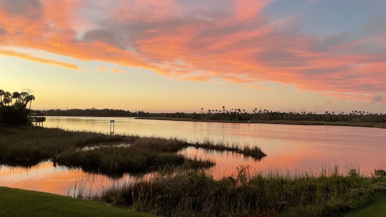 Photo of Outdoor in Crystal River