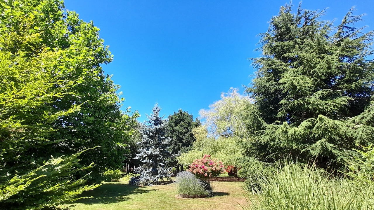Photo of Outdoor in Saint-Sauveur-de-Flee