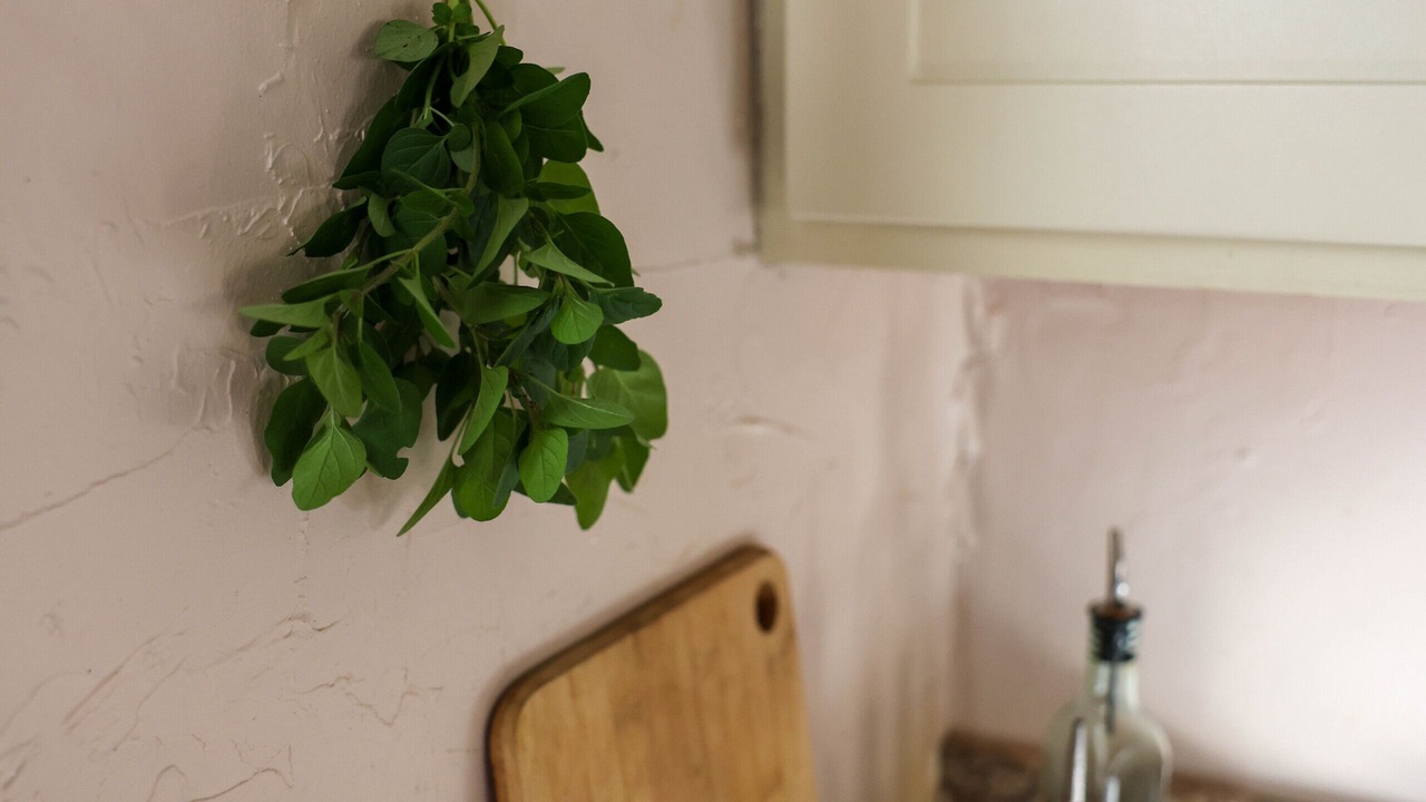 Photo of Others in Manheim