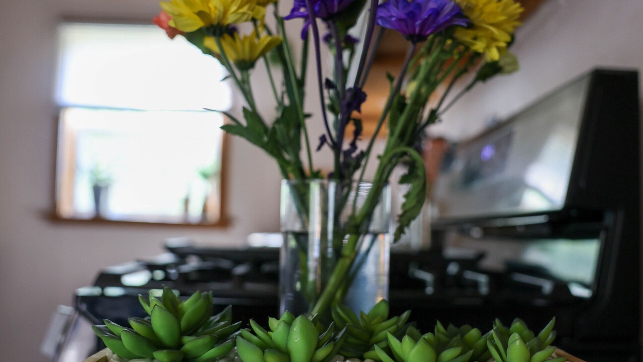 Photo of Others in Manheim