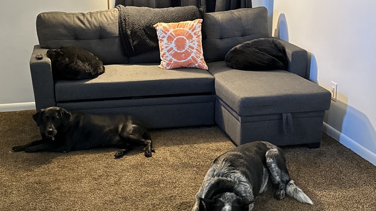 Photo of Livingroom in Stillwater