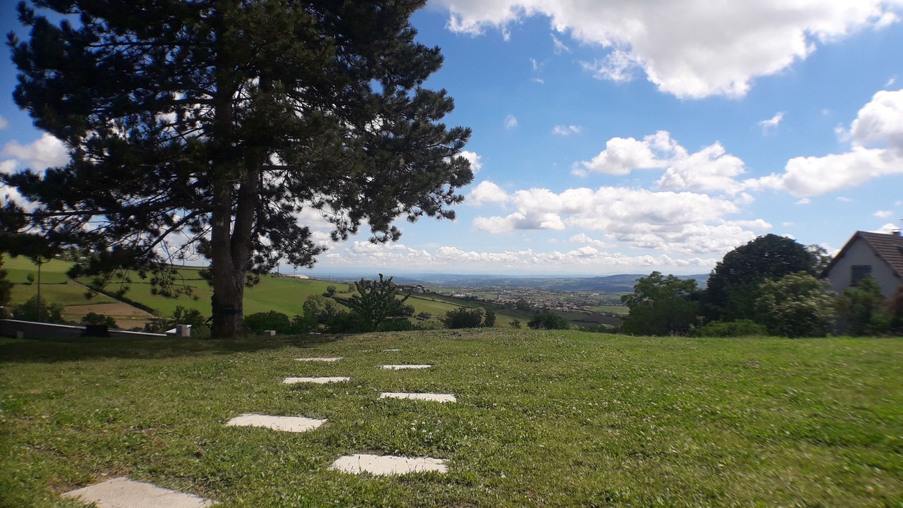 Photo of Outdoor in Saint-Martin-la-Plaine