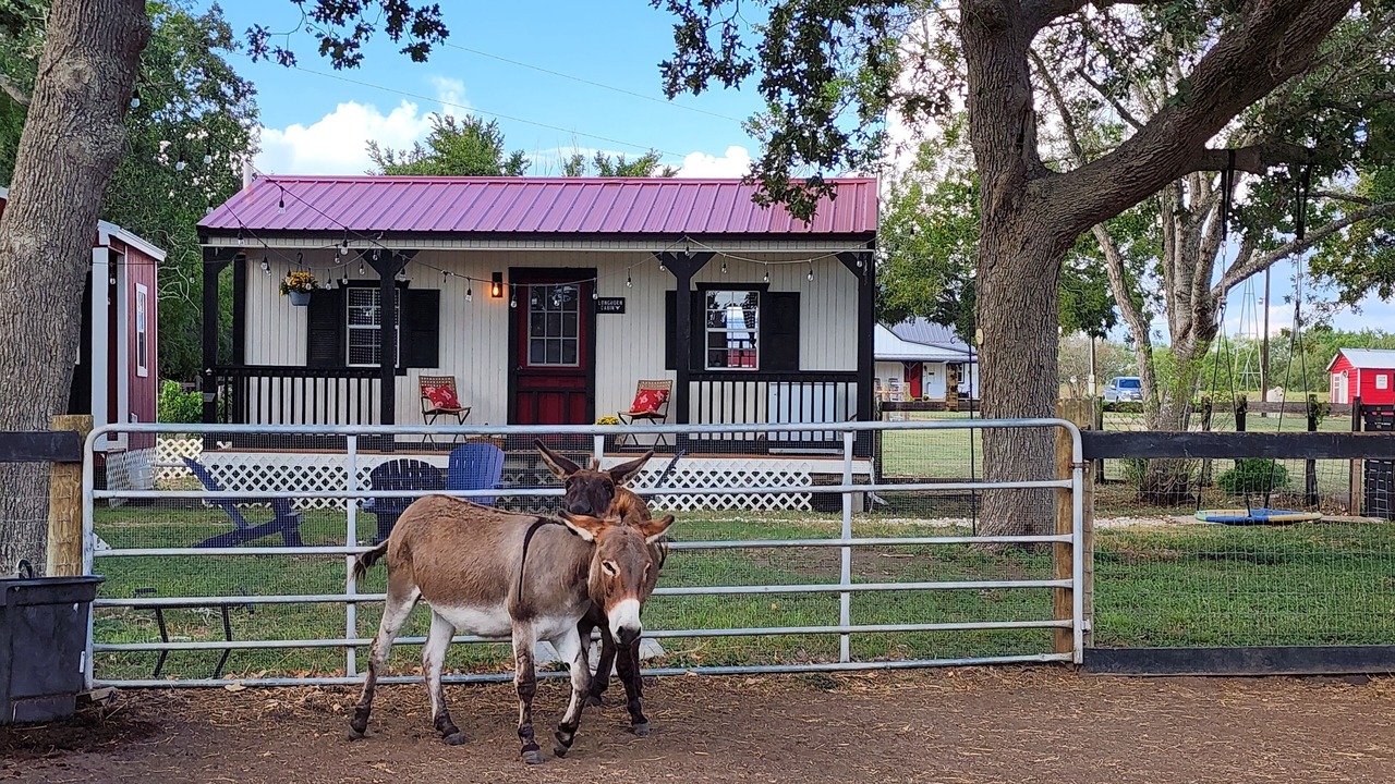 Photo of Outdoor in Moulton
