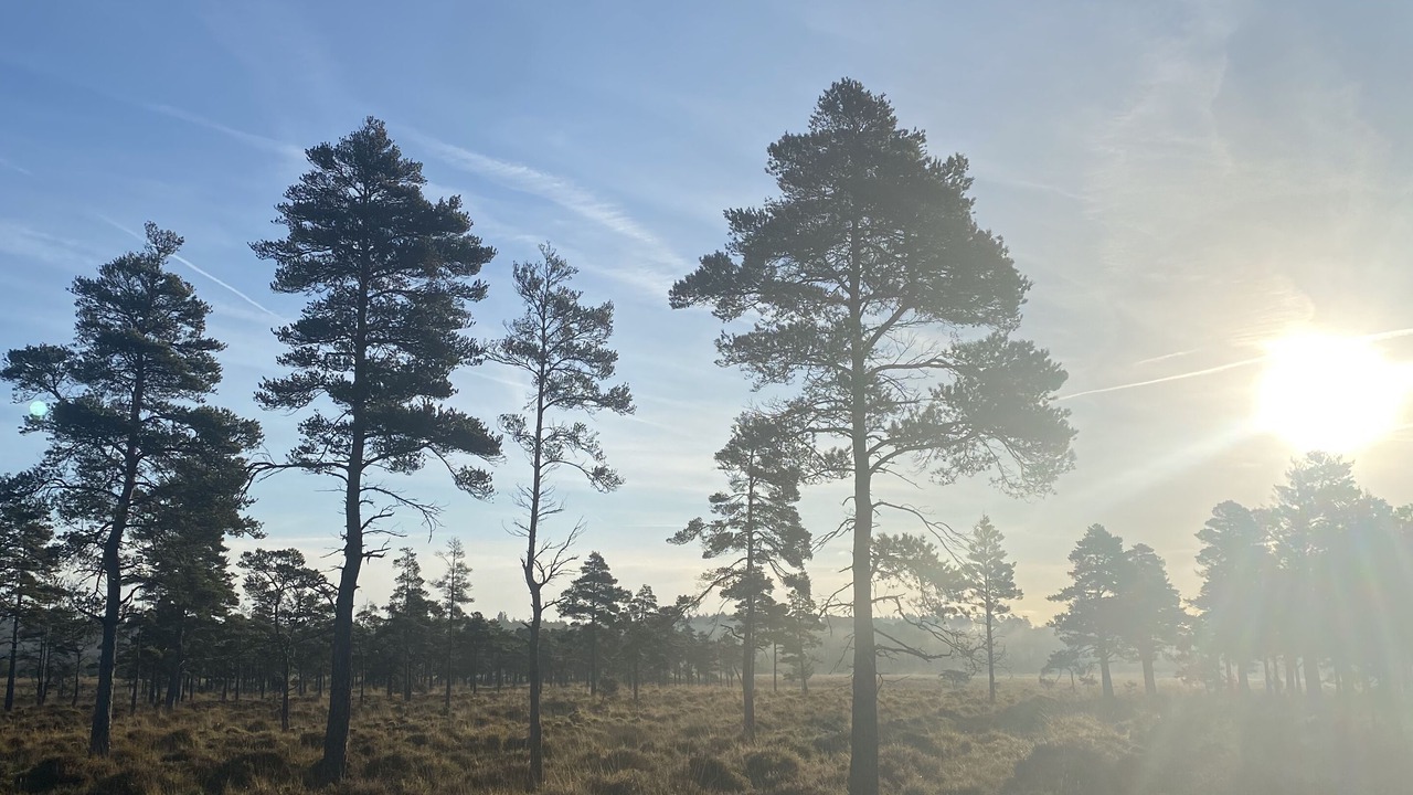 Photo of Others in Wareham