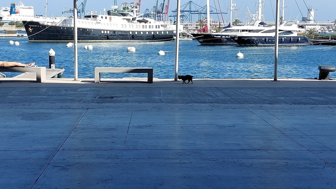 Photo of Others in Poblats Maritims