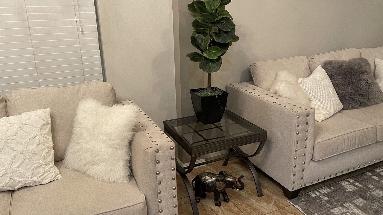 Photo of Livingroom in Northeast Houston