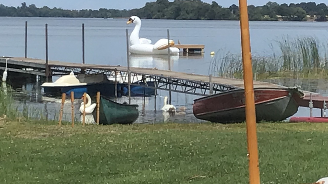 Photo of Outdoor in Prince Edward
