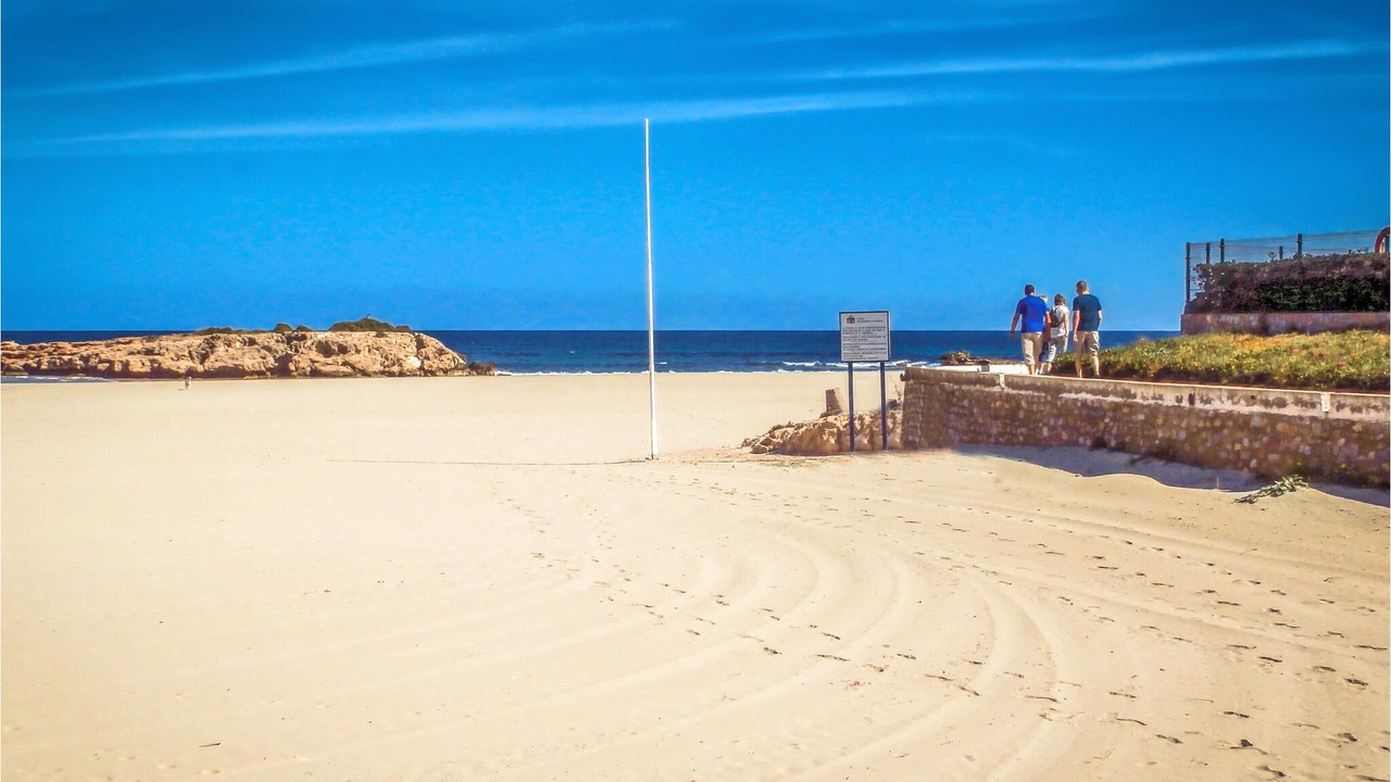 Photo of Others in Flamenca Beach