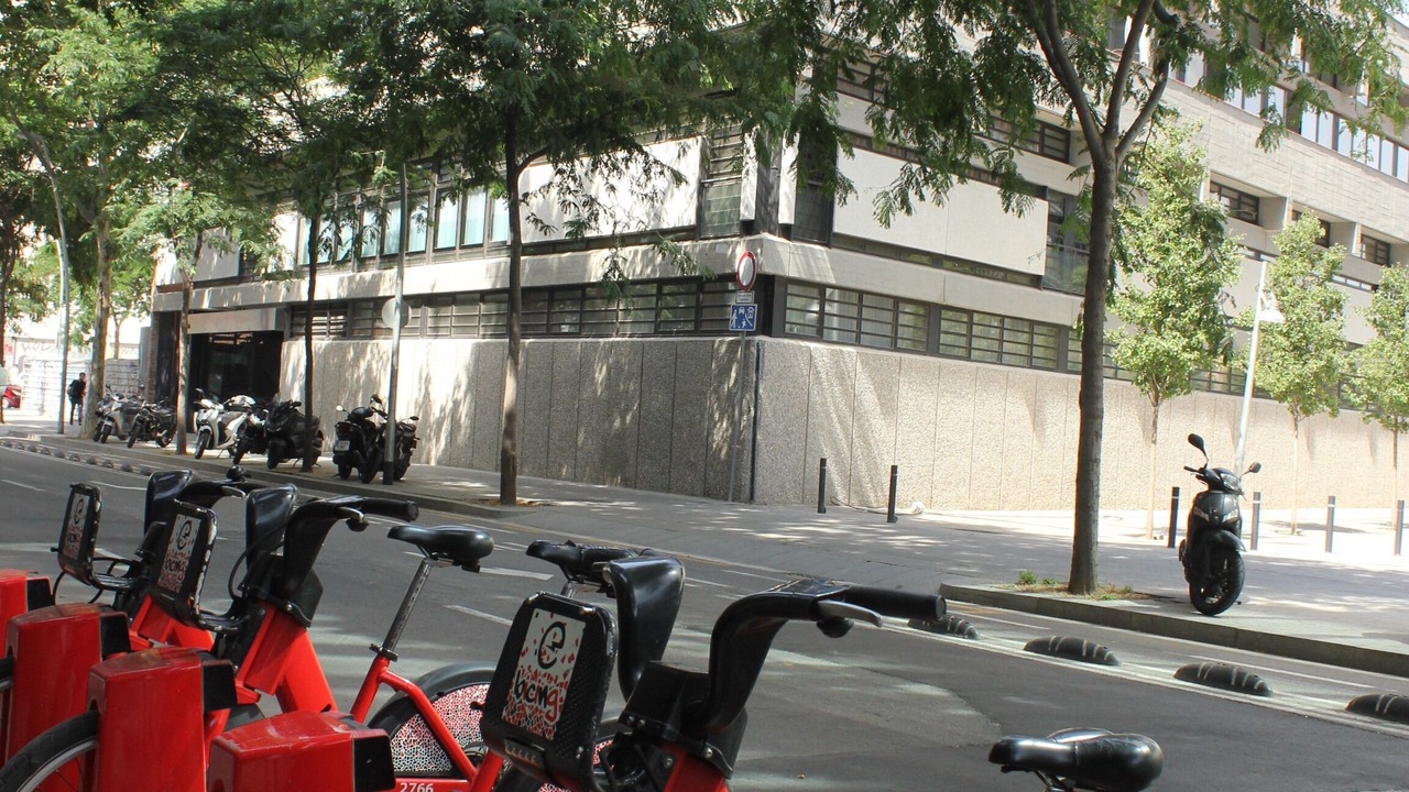 Photo of Outdoor in El Parc i la Llacuna del Poblenou