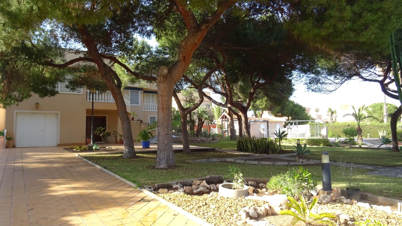 Photo of Outdoor in La Zenia