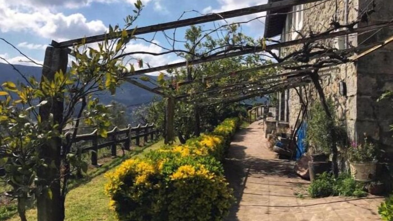Photo of Outdoor in Gautegiz Arteaga