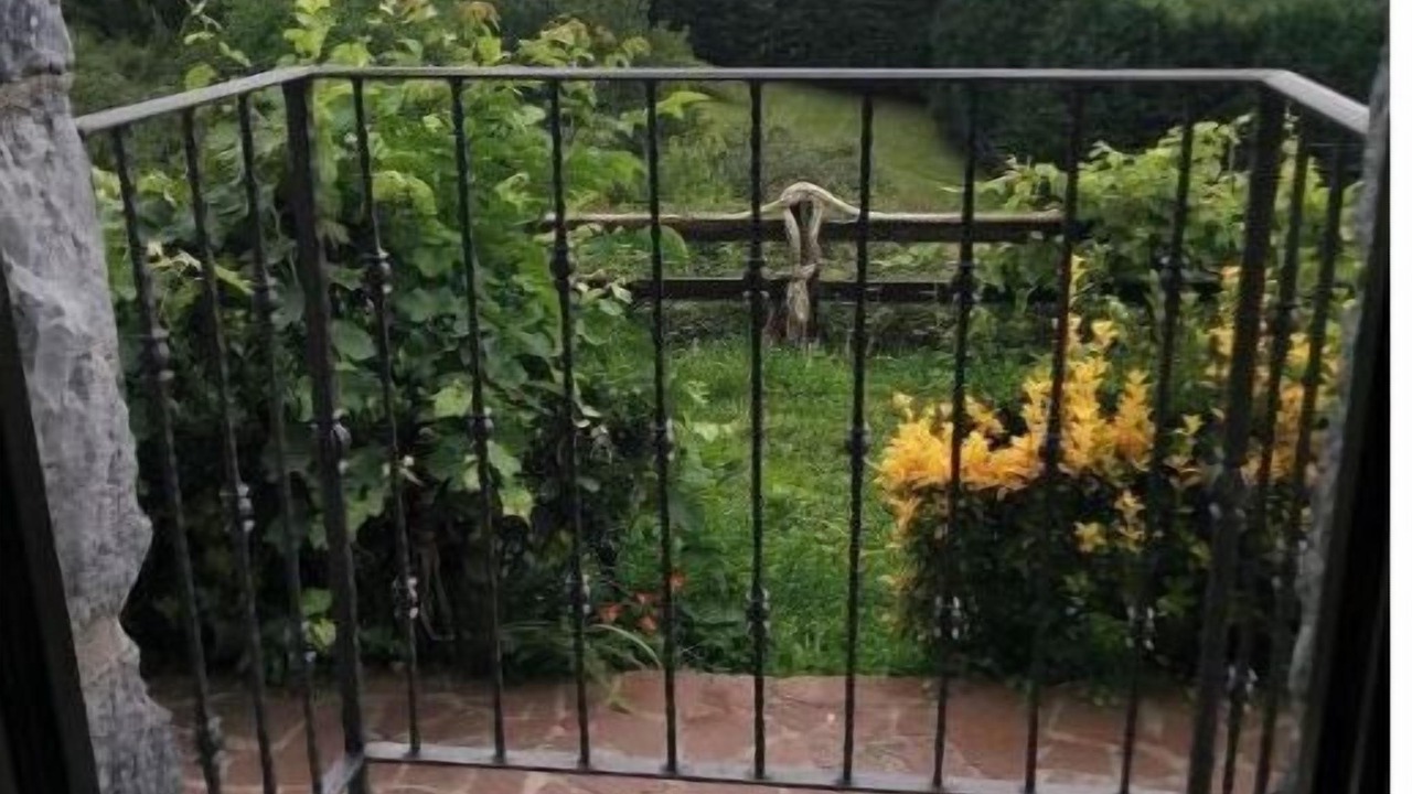 Photo of Outdoor in Gautegiz Arteaga