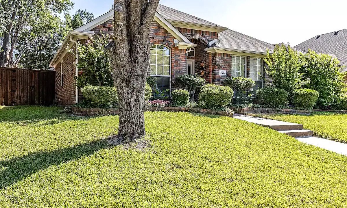 Photo of Outdoor in Plano