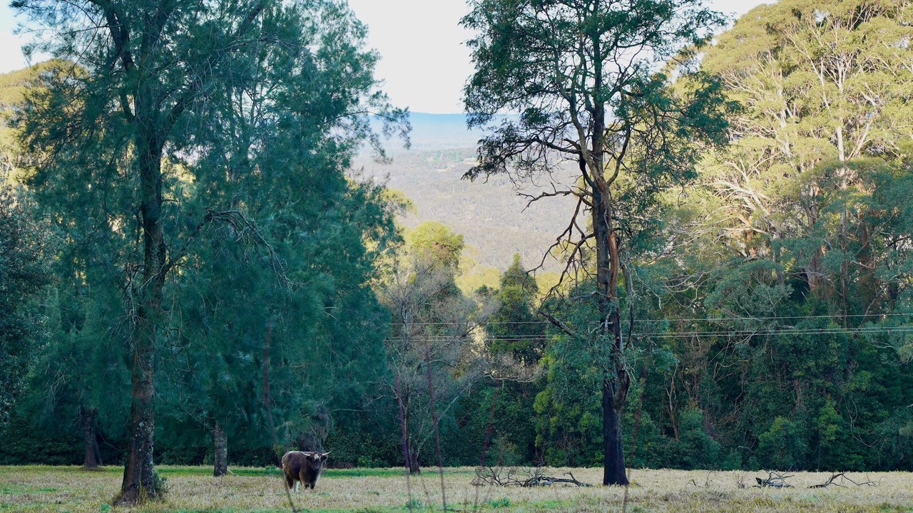 Photo of Outdoor in Mount Irvine