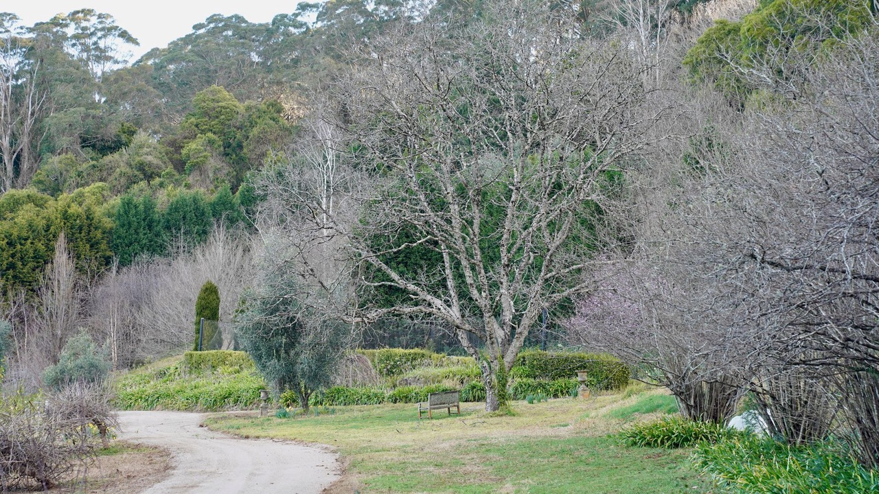 Photo of Outdoor in Mount Irvine