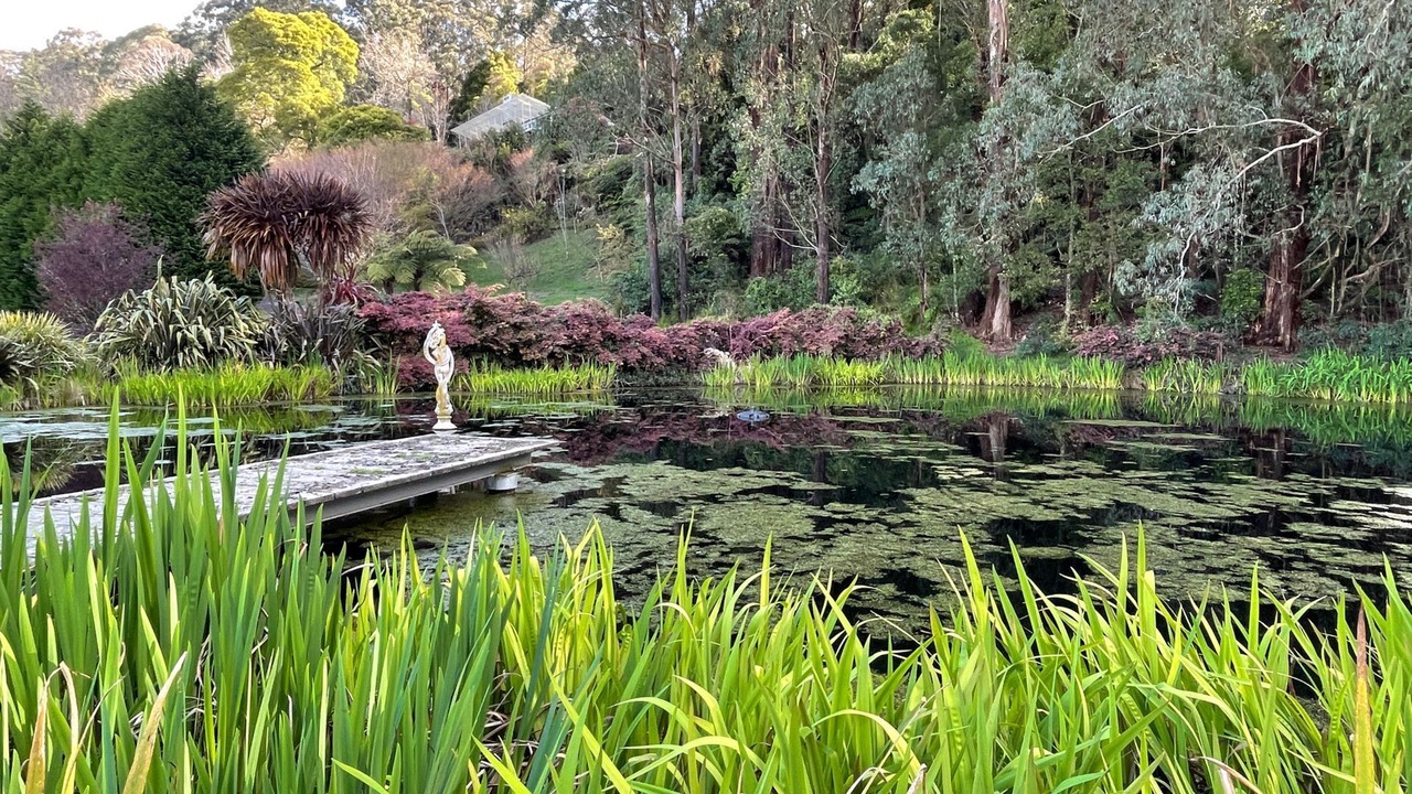 Photo of Outdoor in Mount Irvine