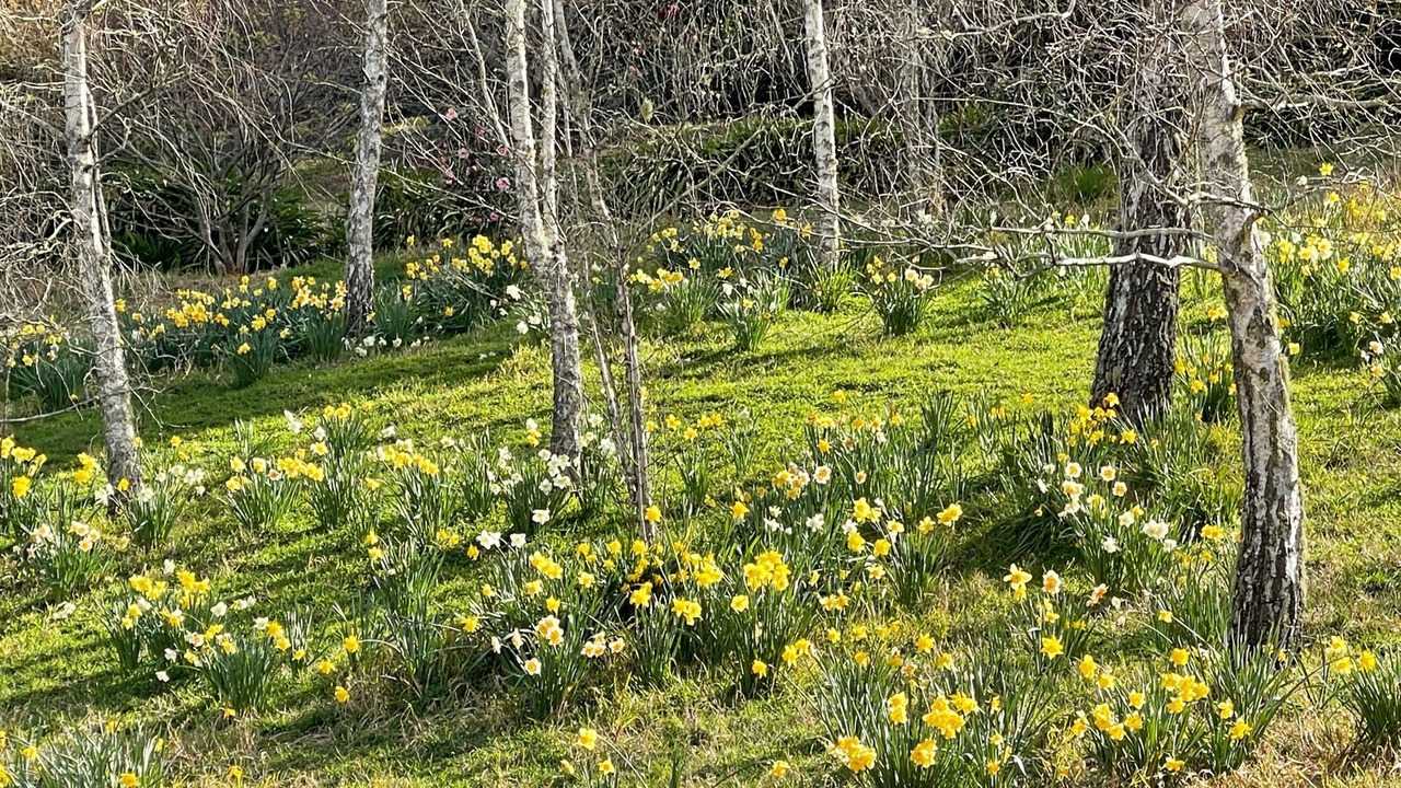 Photo of Outdoor in Mount Irvine