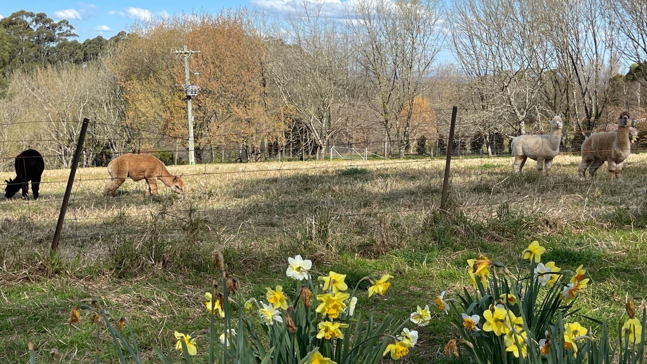 Photo of Outdoor in Mount Irvine