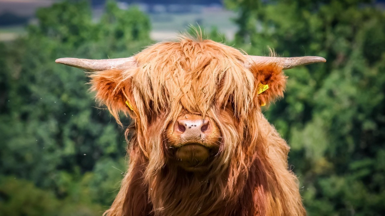 Photo of Outdoor in Mount Irvine