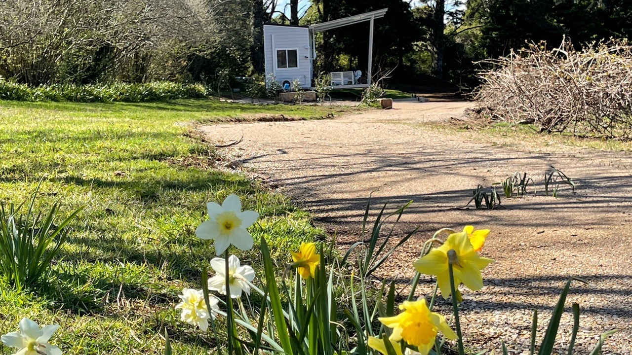 Photo of Outdoor in Mount Irvine