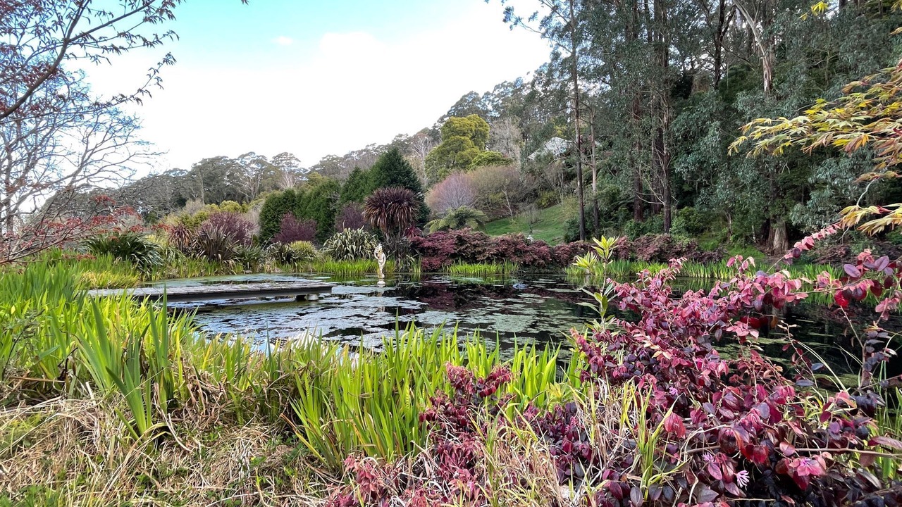 Photo of Outdoor in Mount Irvine