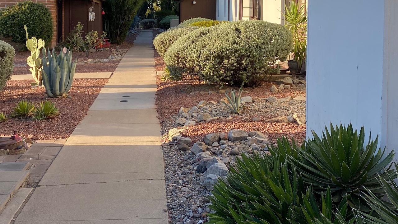Photo of Others in Green Valley
