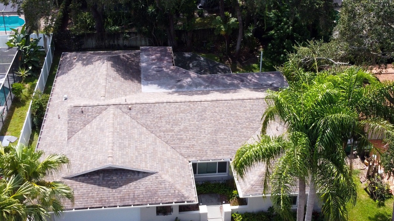 Photo of Others in Safety Harbor