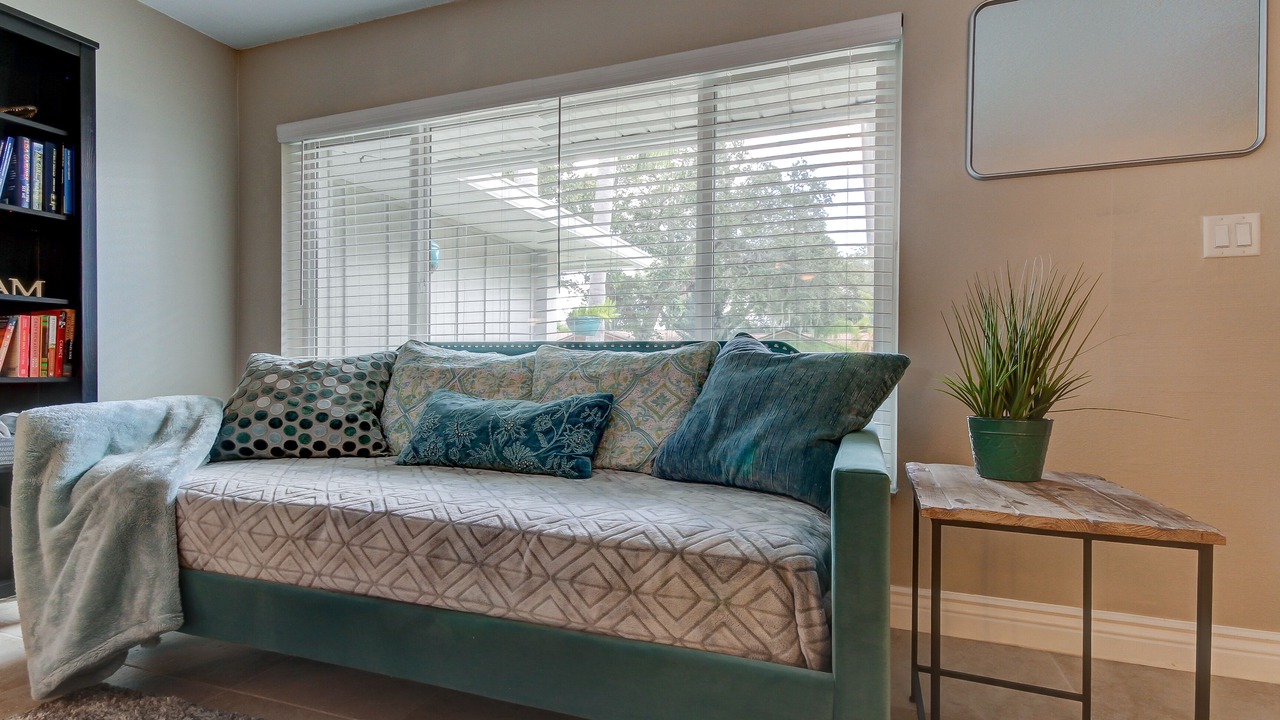 Photo of Others in Safety Harbor