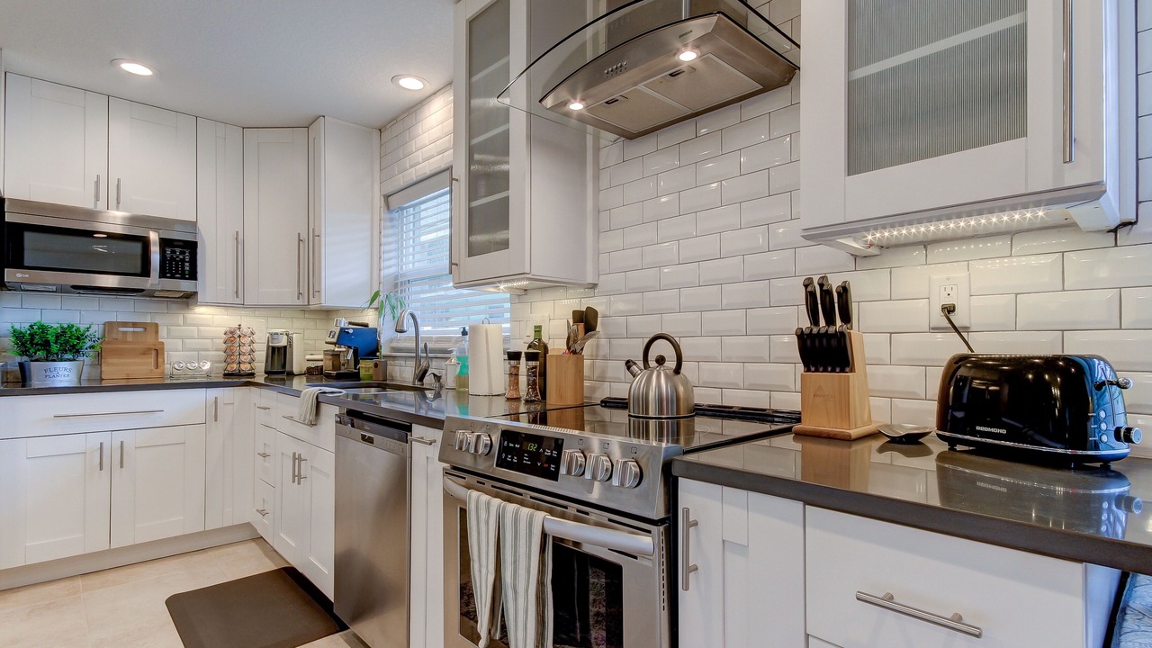 Photo of Others in Safety Harbor