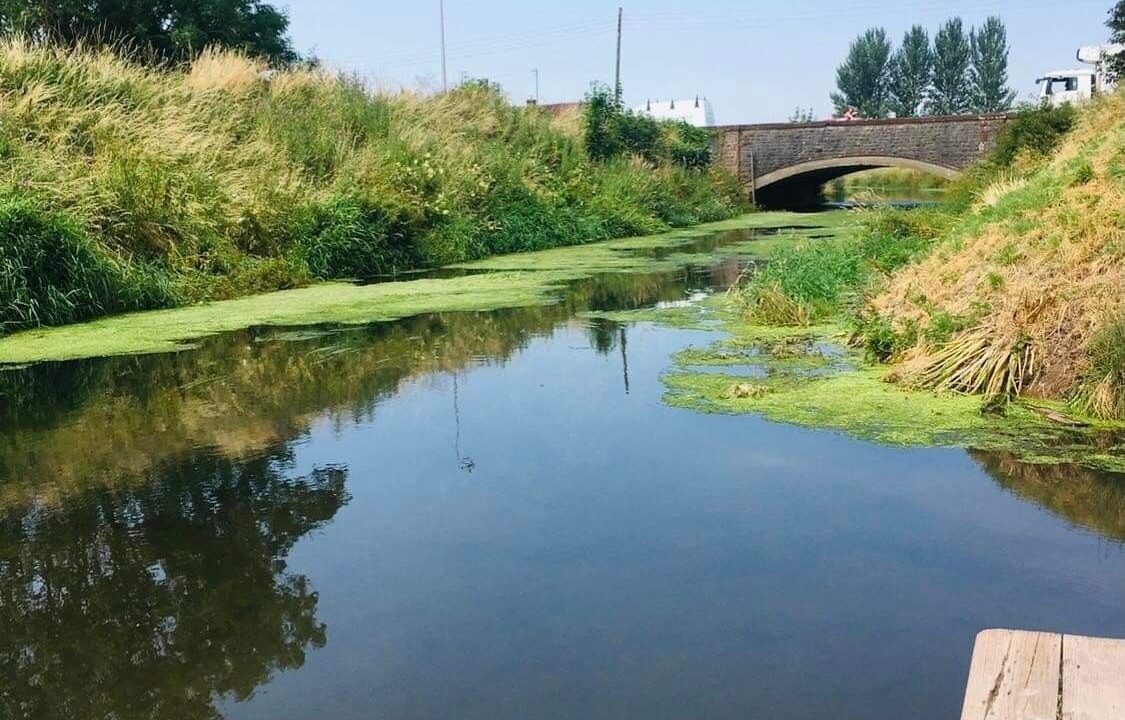 Photo of Others in Cleeve