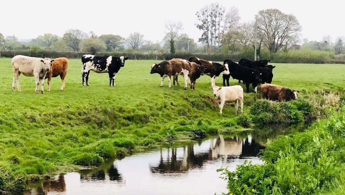 Photo of Outdoor in Cleeve