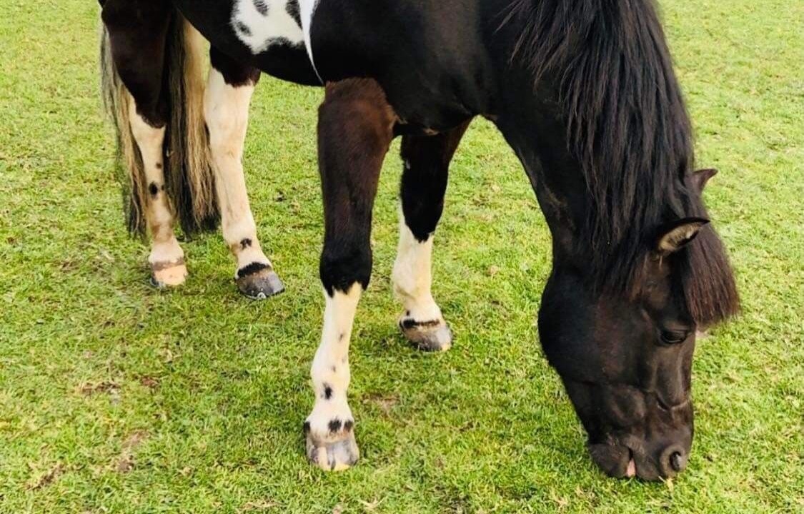 Photo of Outdoor in Cleeve