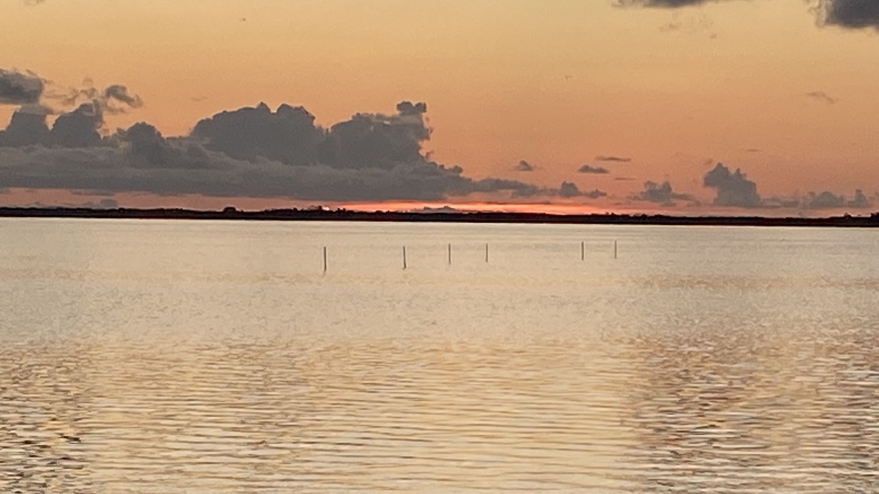 Photo of Others in Rockport