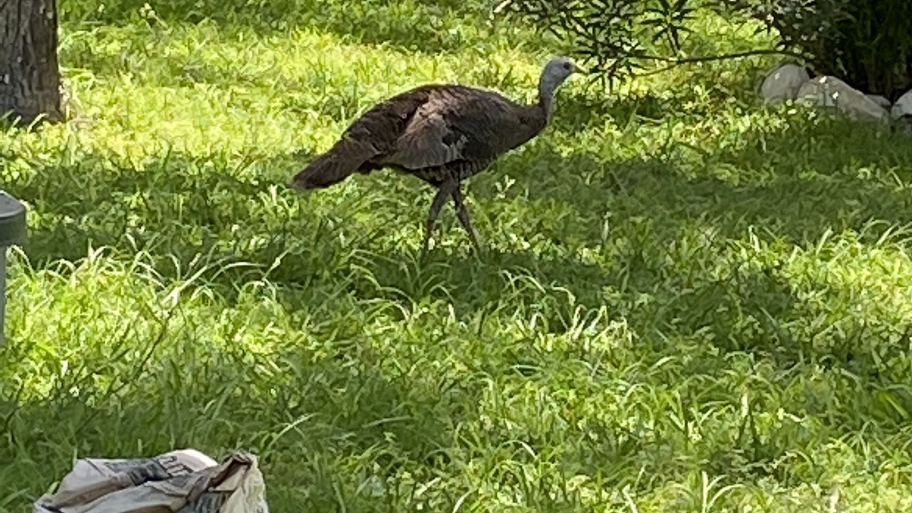 Photo of Others in Rockport