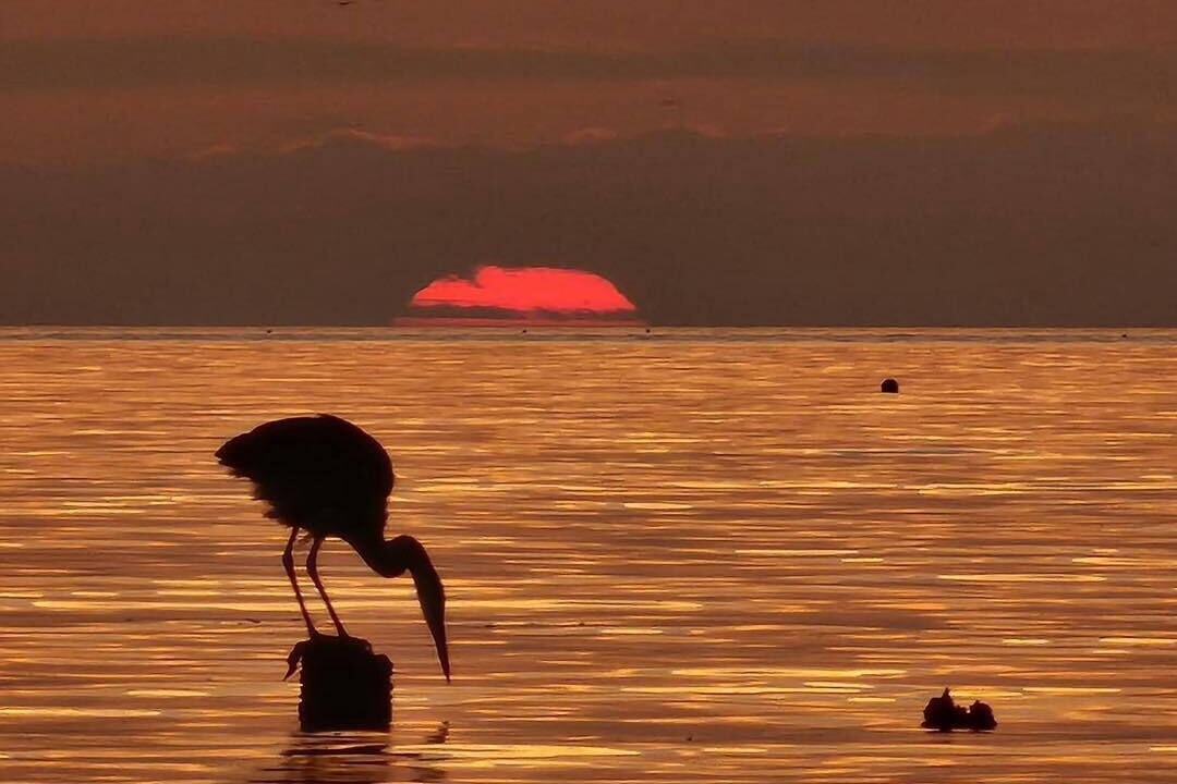Photo of Others in Rockport