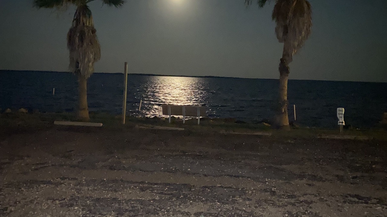Photo of Others in Rockport