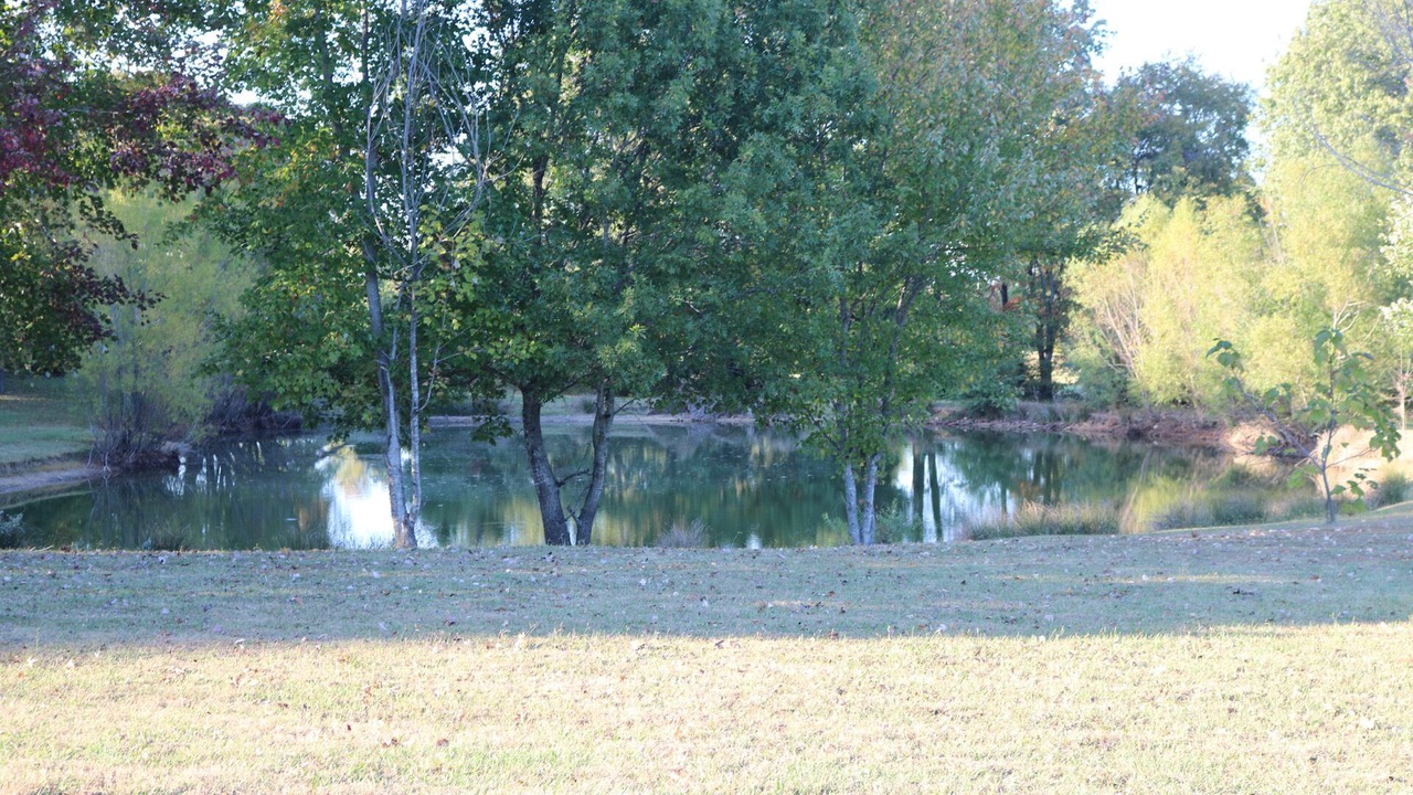 Photo of Others in Lakes of Forest Hill
