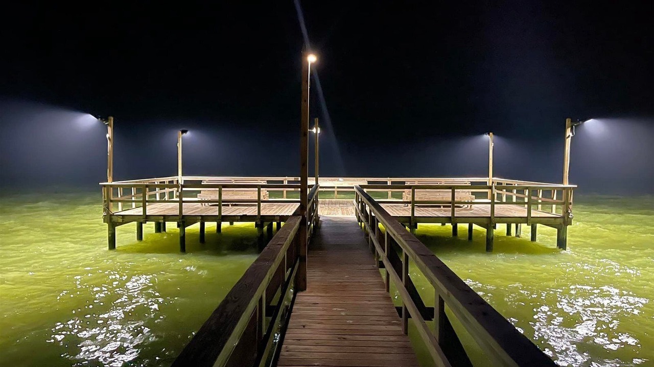 Photo of Others in Sailhouse