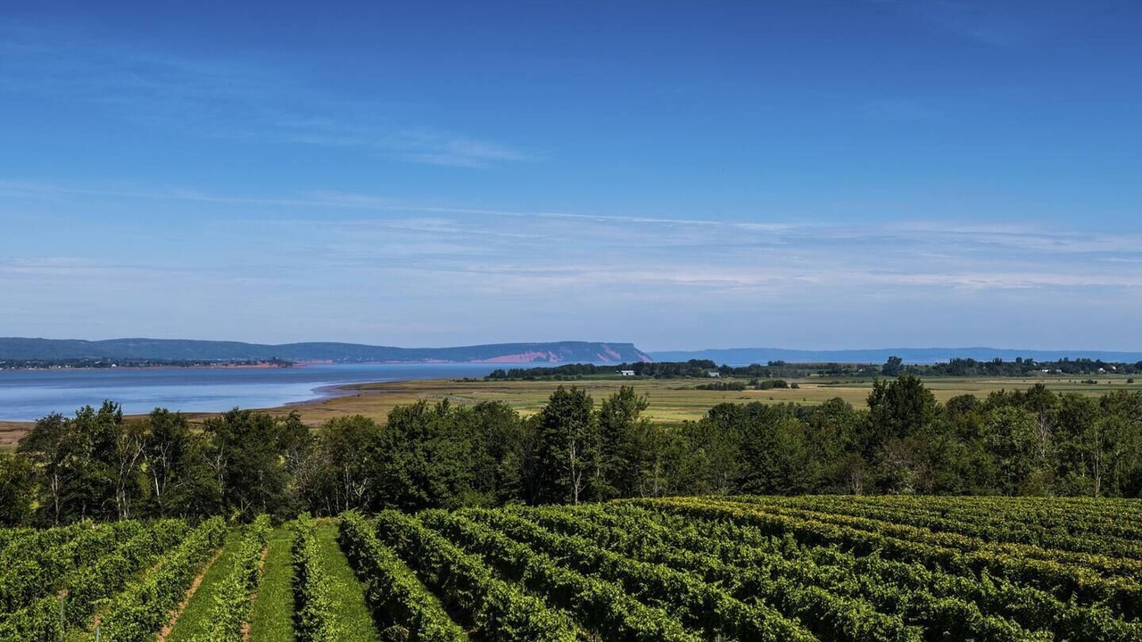 Photo of Outdoor in Wolfville