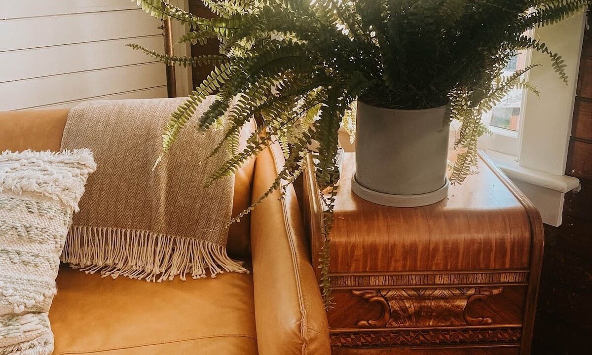 Photo of Others in Tiverton