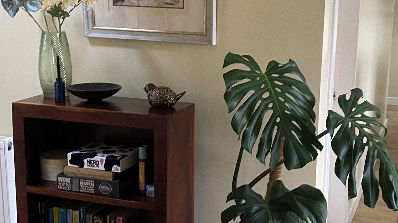 Photo of Others in Ardrossan