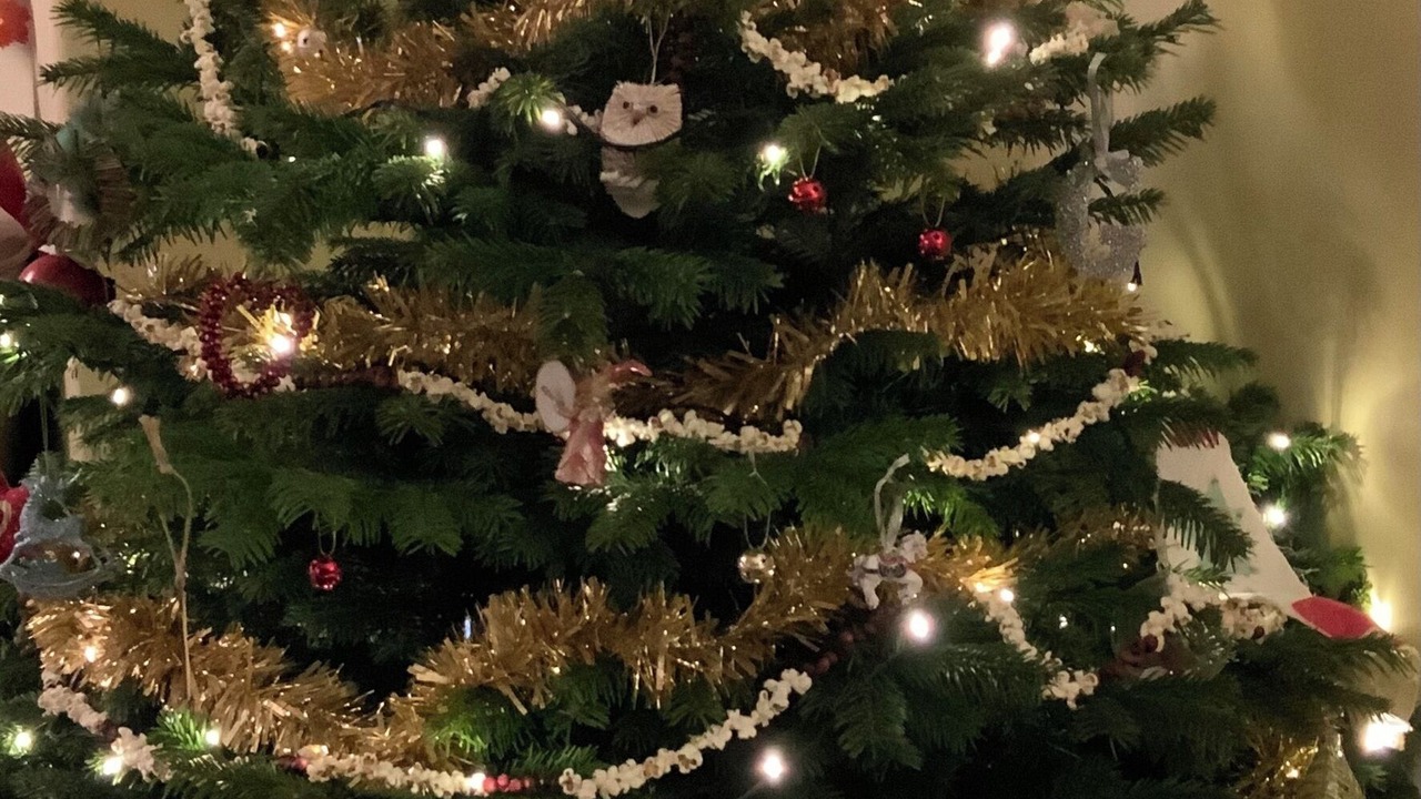 Photo of Others in Ardrossan