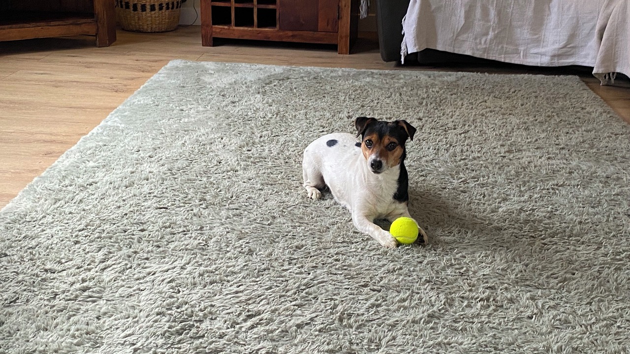 Photo of Others in Ardrossan